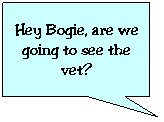 Rectangular Callout: Hey Bogie, are we going to see the vet?
