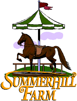 Summerhill Farm Morgan Horses web site