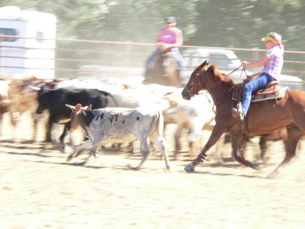 P1000428