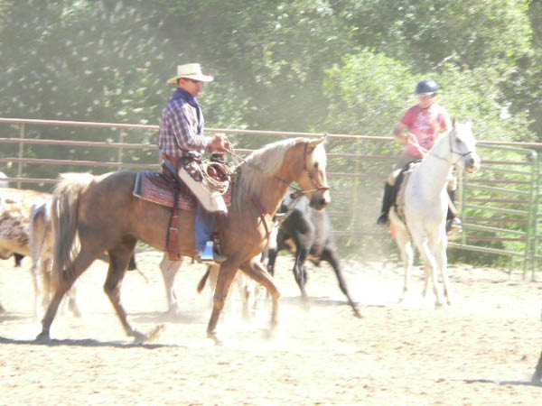 P1000429