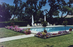 Summerhill Farm: a beautiful environment