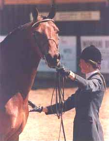 Terry Jones Brennan showing Roy El's Amadeus