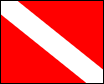 dive flag